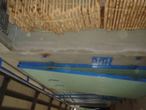 Hầm sấy gỗ 03